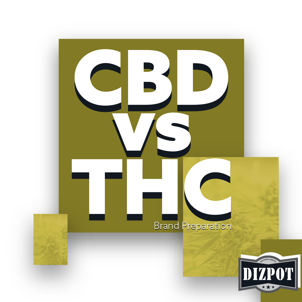 CBDvsTHC