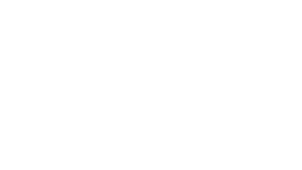 TipsyTurtle